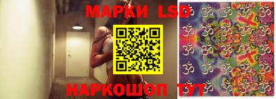 ПСИЛОЦИБИНОВЫЕ ГРИБЫ Кулебаки