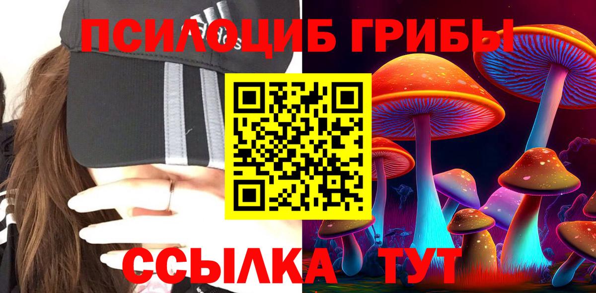 Псилоцибиновые грибы GOLDEN TEACHER Чернушка
