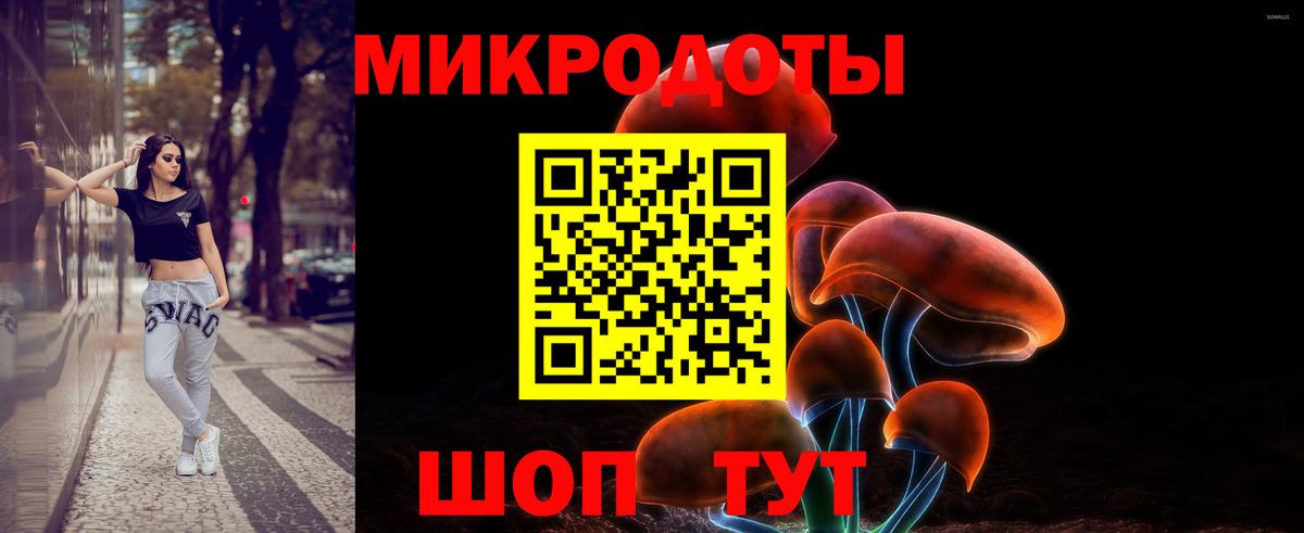 Псилоцибиновые грибы Cubensis  Вход с VPN  Чернушка  Псилоцибиновые грибы Magic Shrooms 