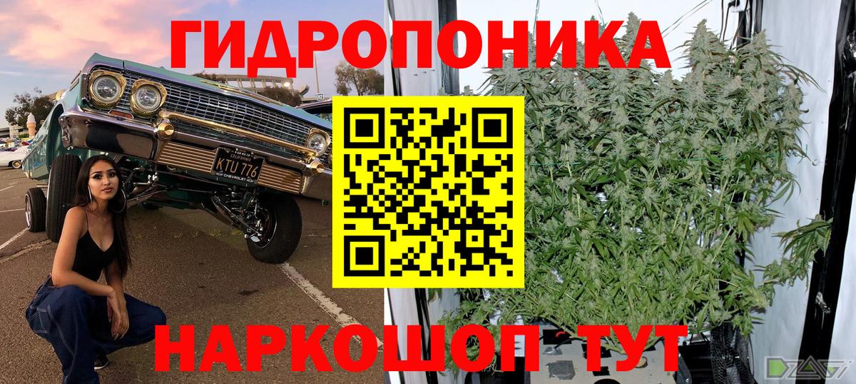 Бошки марихуана LSD WEED  Бошки марихуана семена  Канабис конопля  Вход с VPN  Чернушка 